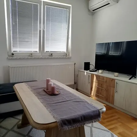 Apartment Smjestaj_s *